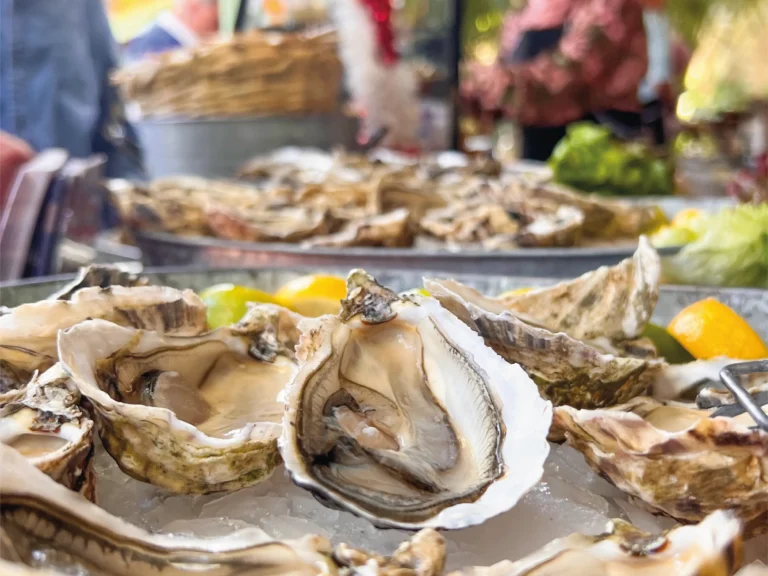 huitres marocaines